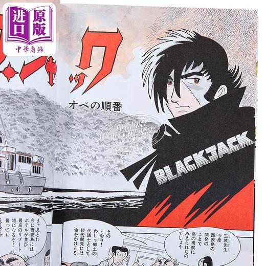 【中商原版】怪医黑杰克 Historical·Color·Pieces 手冢治虫 立东舍 日文原版 ブラック ジャック ヒストリカル カラー ピーシズ 商品图2
