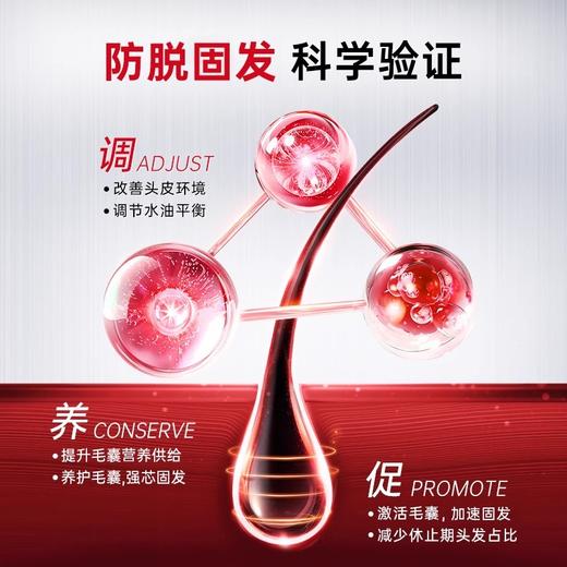 【119元会员福利】卡蓓诺 强韧防脱洗发水350ml（加强型）送牙膏套装    商品图3