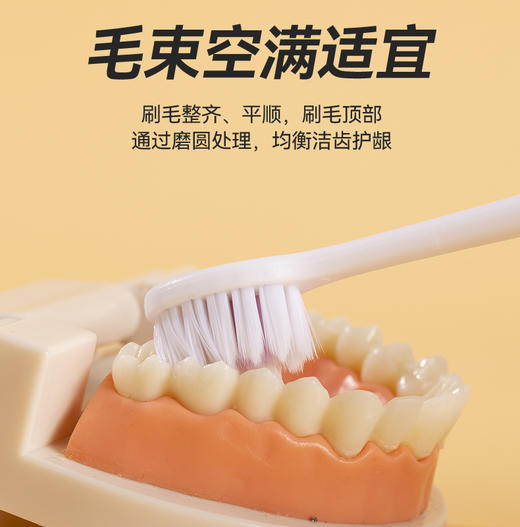 牙博士DR6202幻海细密牙刷双支装 商品图6