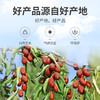 【方家铺子红枣片】200g*1瓶 低温烘干工艺 枣皮鲜红 肉质紧实 口感清香甘甜 商品缩略图9