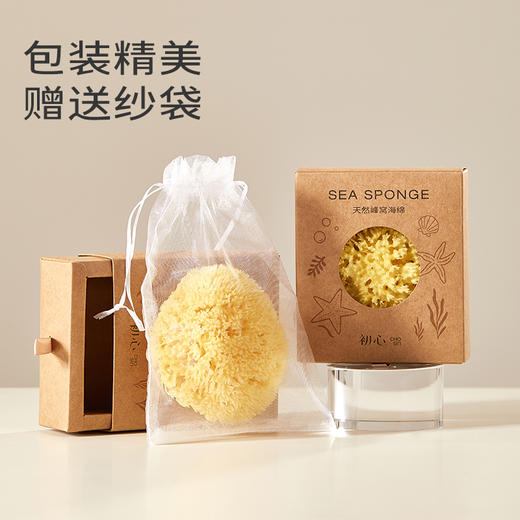 初心| 天然搓澡海绵希腊海绵 商品图6