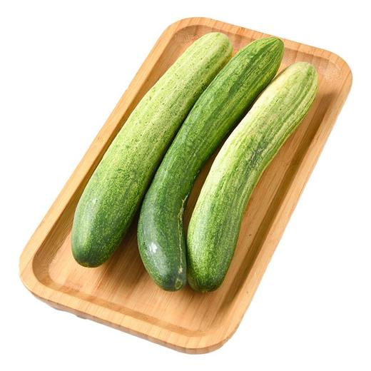 每日伊藤燕白黄瓜500g 商品图2