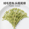 【方家铺子金银花】50g*1瓶 自然晒干 气味清新 汤色呈黄绿色 清澈明亮 回味悠长 商品缩略图3