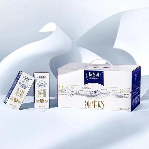 蒙牛 特仑苏纯牛奶 250ml*12 商品图5
