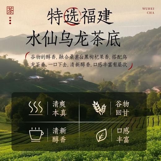 轻上东方补者五黑茶245ml/瓶 商品图2