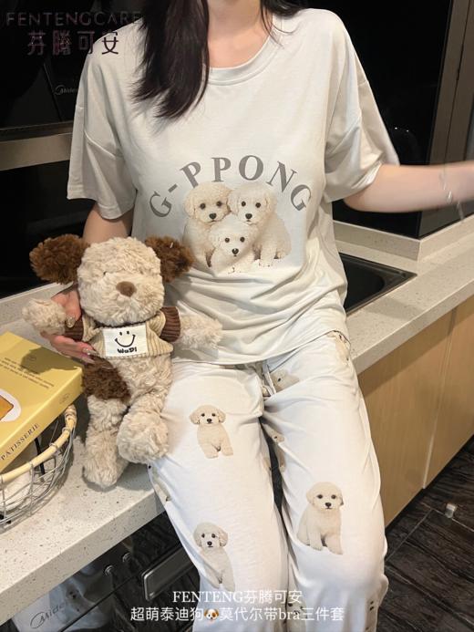 会呼吸的家居遛弯三件套睡衣超萌泰迪狗带胸垫三件套 商品图4