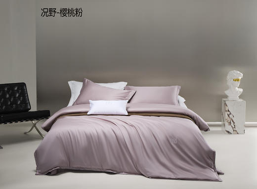 芙瑞缇长绒棉素色绣花四件套220*240 商品图0