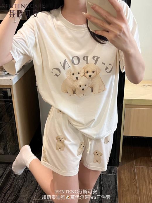 会呼吸的家居遛弯三件套睡衣超萌泰迪狗带胸垫三件套 商品图5
