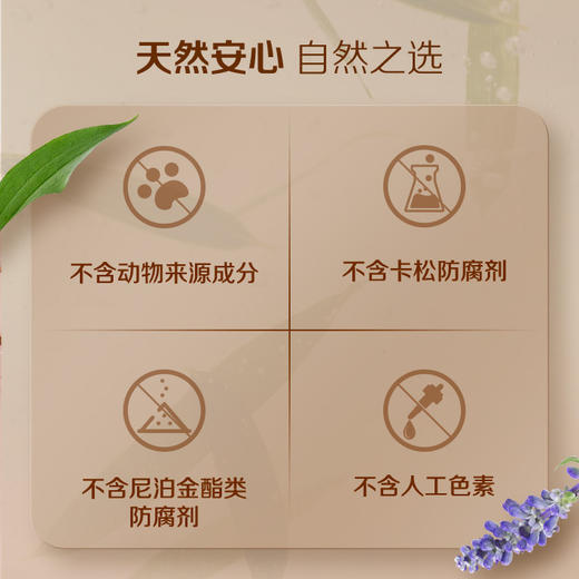 雅蜜®滋润身体乳[润养修护小蜜橘]滋润锁水抗氧化48小时长效保湿 商品图4