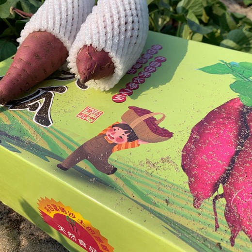 【海南•桥头地瓜】红皮黄肉无纤维 香甜不干 粉糯美味 浓郁板栗香 小时候的味道 自然农法种植 商品图8