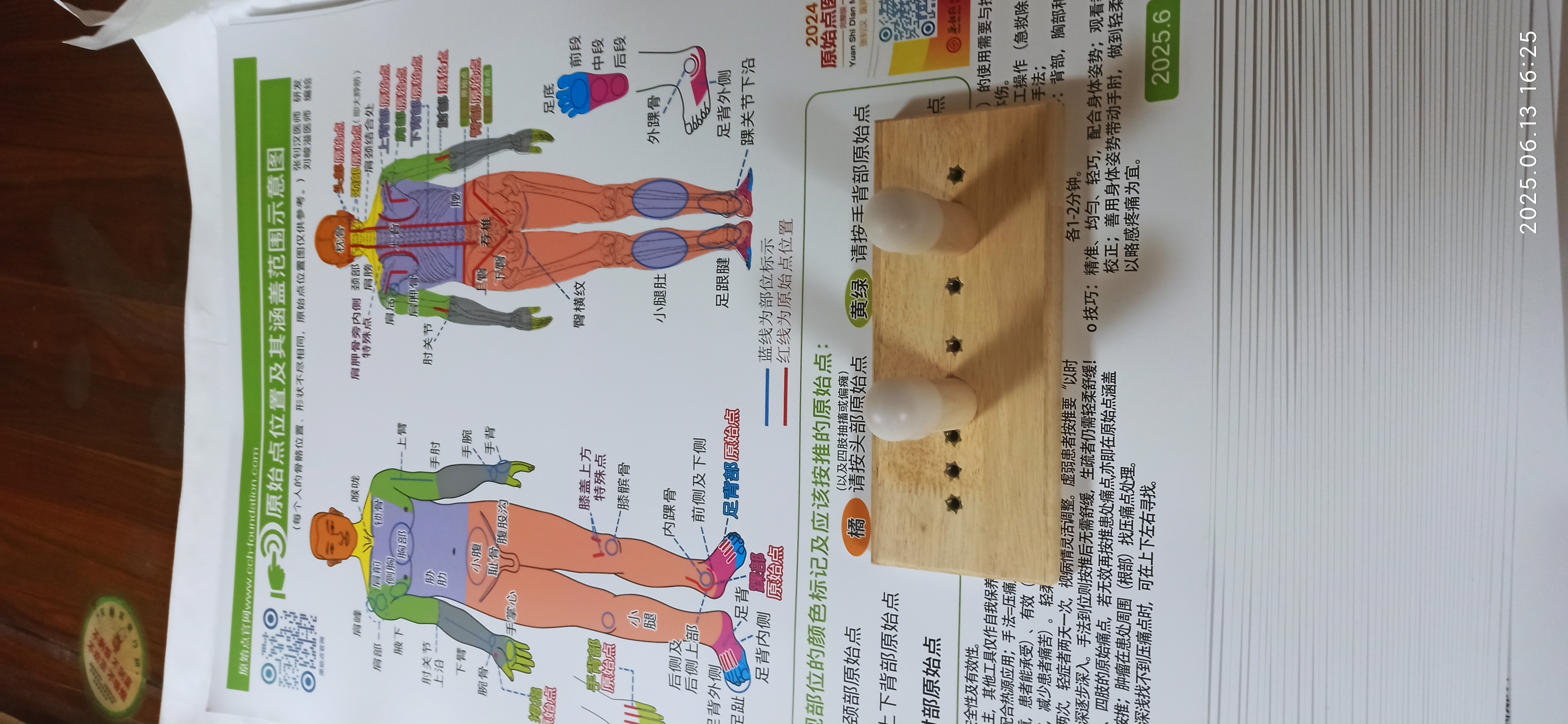 原始点2025.6 原始点位置及涵盖范围示意图 人体图挂历海报/原版手册书2023