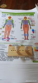 原始点2025.6 原始点位置及涵盖范围示意图 人体图挂历海报/原版手册书2023