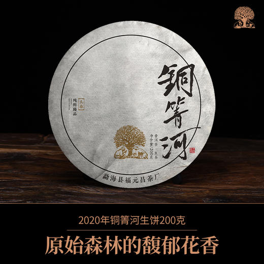【孤品秒杀】2020年易武铜箐河古树纯料生饼200g 商品图0