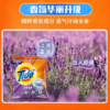 汰渍洁净熏香熏衣草香氛洗衣粉508g/袋 商品缩略图2