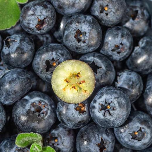新鲜水果  脆甜可口蓝莓15+  125g/盒   商品图3