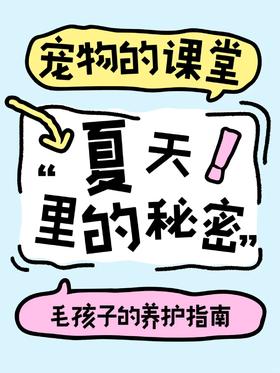 🔥夏日养宠需看！猫狗防暑降温全攻略🐾