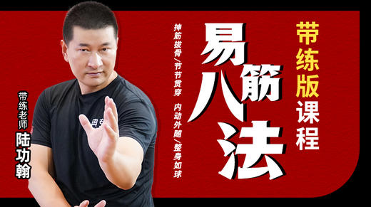 【易筋八法】带练课程 商品图0