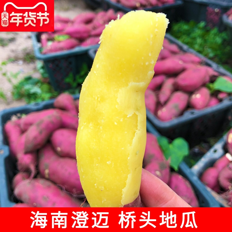 【海南•桥头地瓜】红皮黄肉无纤维 香甜不干 粉糯美味 浓郁板栗香 小时候的味道 自然农法种植