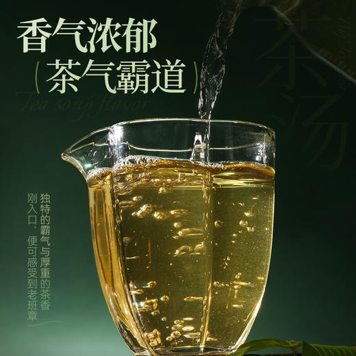 陈升号 2025年陈升老班章357g（生茶） 商品图3