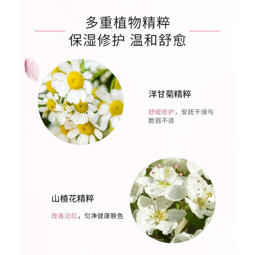 朵梵多效舒缓爽肤水200ml 收缩毛孔保湿补水 商品图3