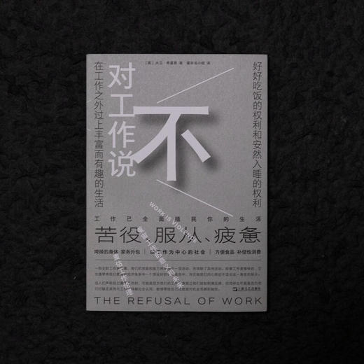 对工作说不（英）大卫·弗雷恩 著（是时候挑战工作的中心地位了！在以工作为中心的社会，保持理智可能正是一种癫狂） 商品图7