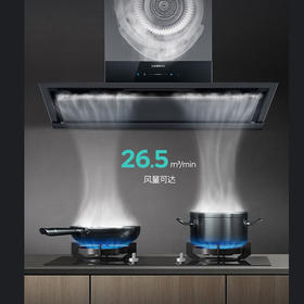 西门子（SIEMENS）抽油烟机新品 iQ300 超薄零嵌入式吸油烟机黑色家电器排净烟机排烟罩 LS33E6VB9W