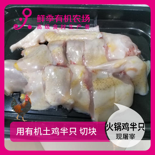 散养 火锅鸡半只 切块  现屠宰/空运 吃有机黄豆玉米蔬菜 商品图0