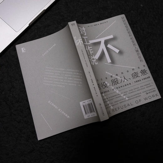 对工作说不（英）大卫·弗雷恩 著（是时候挑战工作的中心地位了！在以工作为中心的社会，保持理智可能正是一种癫狂） 商品图3
