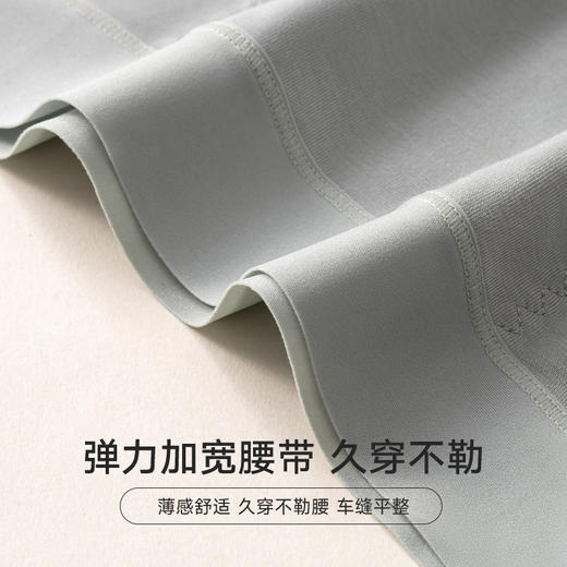 女士莫代尔高腰生姜纤养裤三角内裤2943 商品图6