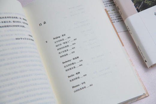 伯克利的魔山 许知远精选随笔集，“游荡集”系列开篇之作 商品图5