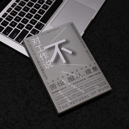 对工作说不（英）大卫·弗雷恩 著（是时候挑战工作的中心地位了！在以工作为中心的社会，保持理智可能正是一种癫狂） 商品图2