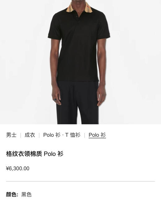 bbr男士高端Polo衫61101 商品图12