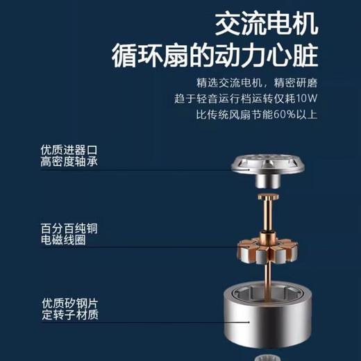 SEEDEN西点 12寸交流立式空气循环扇XD-2988FB 商品图1