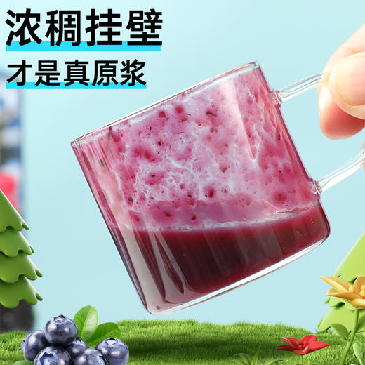 林野小铺100%有机野生nfc蓝莓原浆大兴安岭无添加花青素满满  100ml*8瓶 商品图2