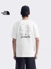 TNF 新款趣味印花圆领短袖T恤 Z-15438 商品缩略图2