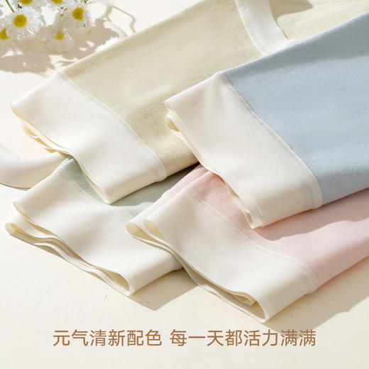 女士云感棉朵裤中高腰加长裆撞色三角内裤2942 商品图3