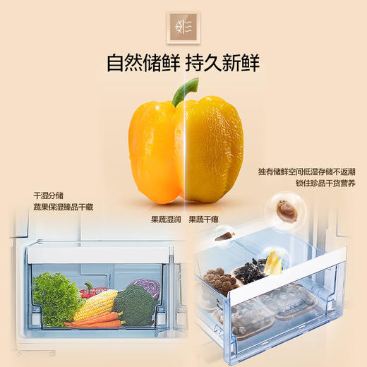 西门子（SIEMENS）家用大容量550升超薄嵌入式十字门四门双开门冰箱 风冷无霜 抗菌净味 金属门板白色 KC82E1620C 商品图2