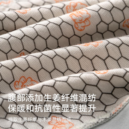 女士莫代尔高腰生姜纤养裤三角内裤2943 商品图1