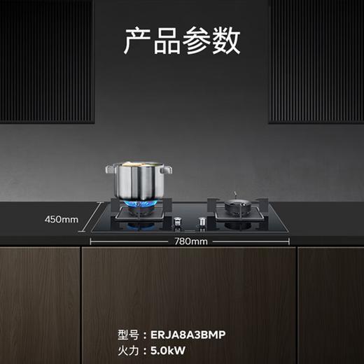 西门子（SIEMENS）【新品】西门子嵌入式燃气灶具5.0大火力家用双灶玻璃天然气ERJA8A3BMP 商品图2