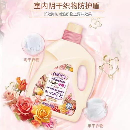 白猫花园东方香氛洗衣液(乌木＋玫瑰)2.5kg*2瓶/组 商品图1