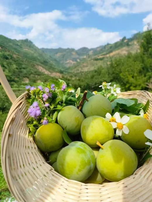 正宗六马蜂糖李蜜甜脱骨李顺丰包邮 商品图1