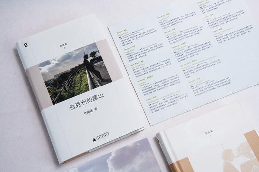 伯克利的魔山 许知远精选随笔集，“游荡集”系列开篇之作 商品图4