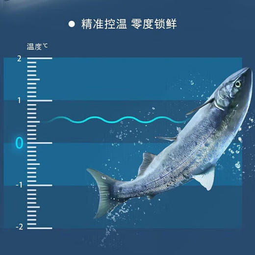 西门子（SIEMENS）530升对开门家用冰箱风冷无霜一级能效分区精储零度保鲜eNose智感杀菌 超氧回鲜舱 湖蕴蓝【KT92PA658C】 商品图3
