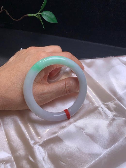 620228，55.5飘绿圆条，整条底妆细腻干净，一截清新绿底 商品图5