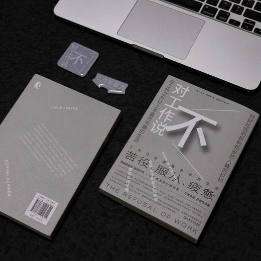 对工作说不（英）大卫·弗雷恩 著（是时候挑战工作的中心地位了！在以工作为中心的社会，保持理智可能正是一种癫狂） 商品图8