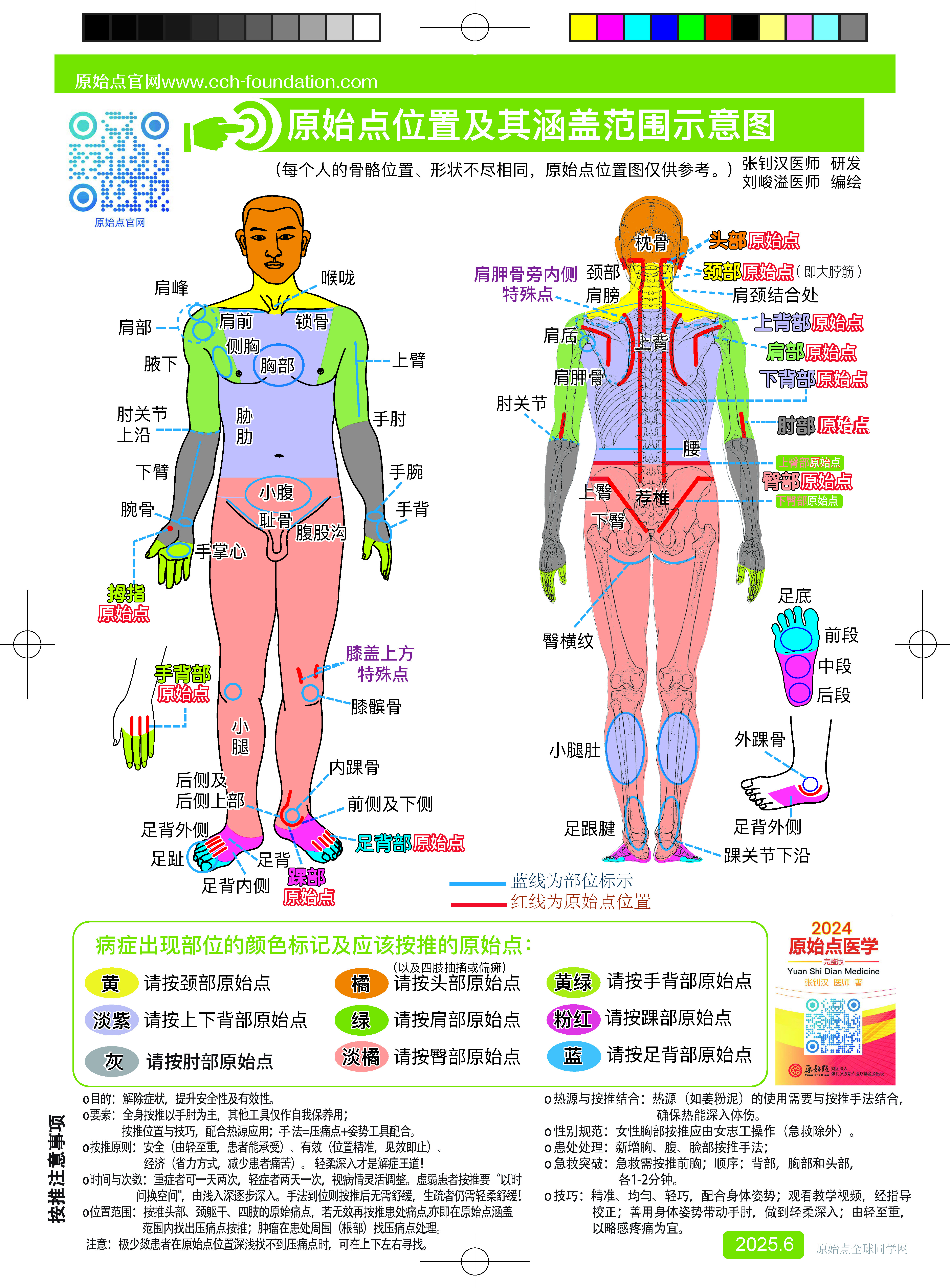 新版原始点人体图 （无日历）A2图海报 赠品420X570MM