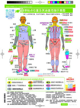 新版原始点人体图 （无日历）A2图海报 赠品420X570MM