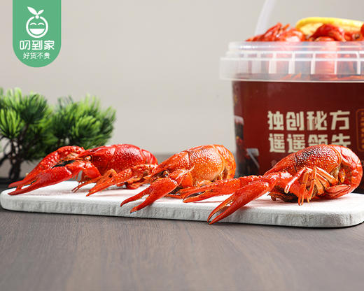 【预售-4月10日配送】拾锅侠泰式柠檬泡泡小龙虾（1.8kg/桶 40-45只 3-5钱）生产日期：4月8日 保质期：冷藏6天 商品图3