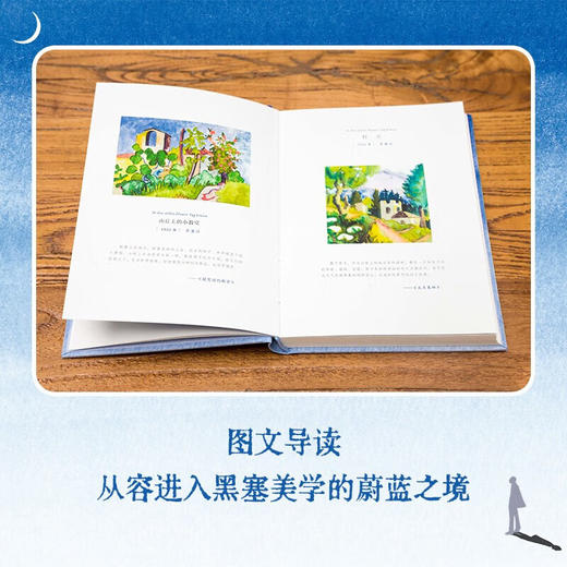 我走入宁静蔚蓝的日子（德）赫尔曼·黑塞 著 散文 商品图4