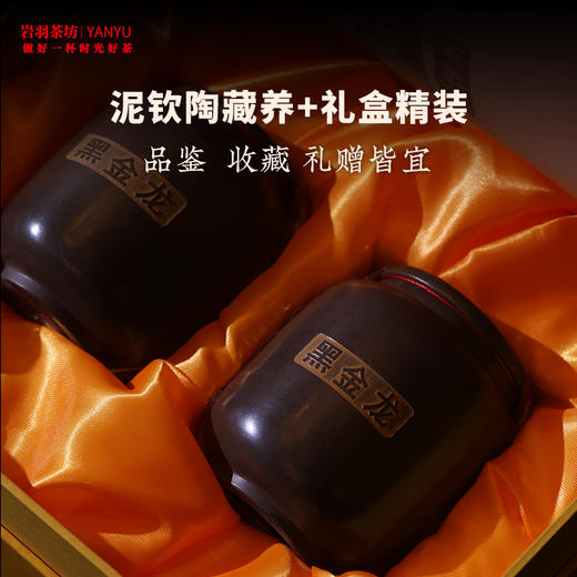 三鹤六堡茶散茶黑金龙礼品茶特级黑茶广西梧州茶厂陈香槟榔香坭兴陶双罐礼盒 商品图1